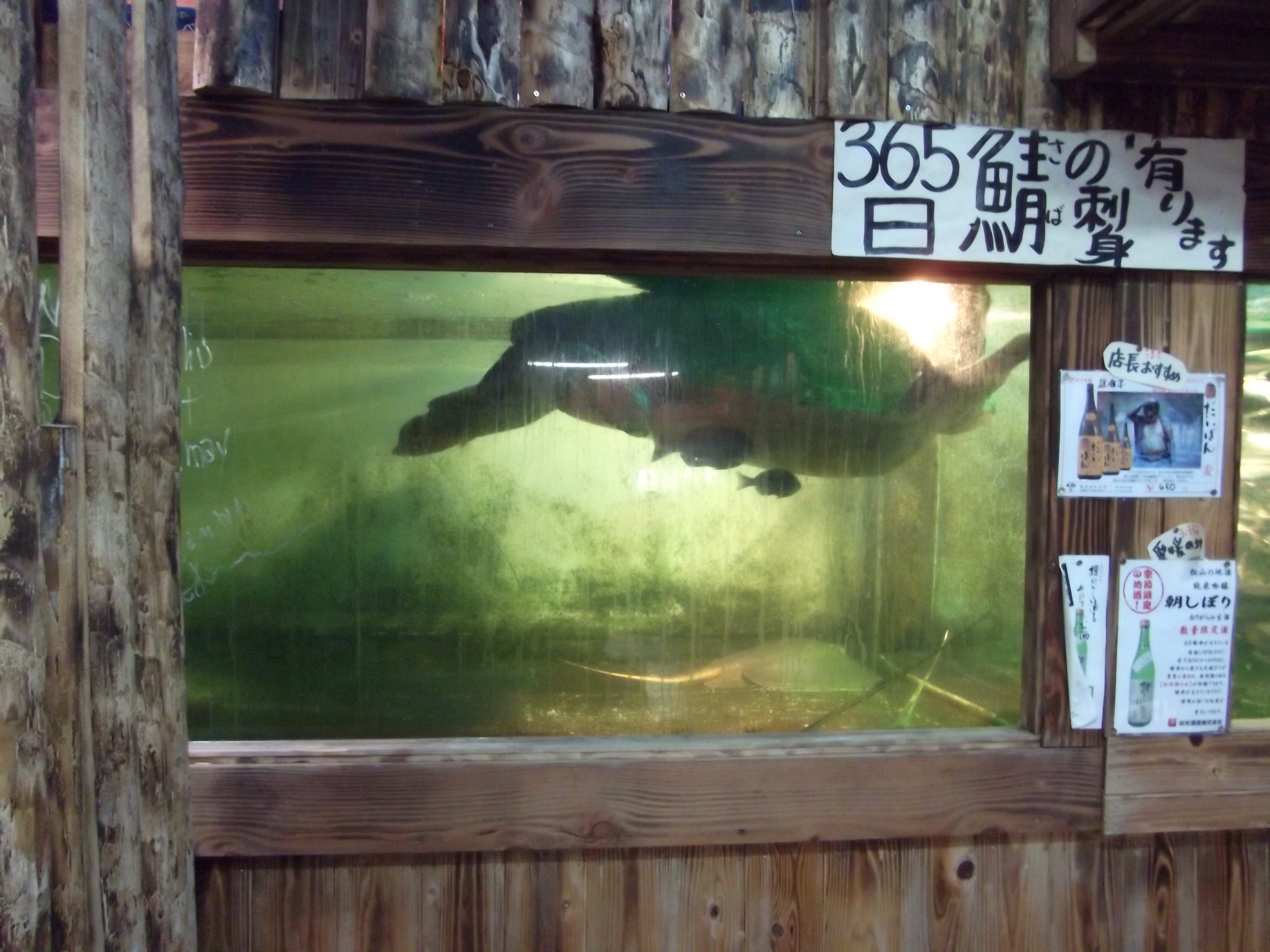 http://www.tenpos.co.jp/blog/DSCF7763.JPG