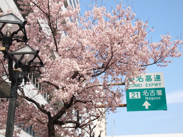 http://www.tenpos.co.jp/blog/P3301642.jpg