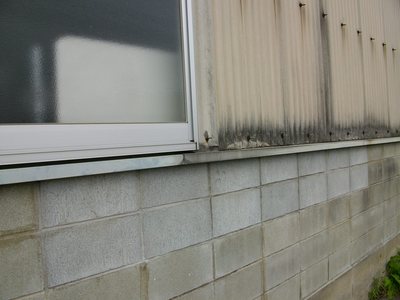 f20110617-2.JPG