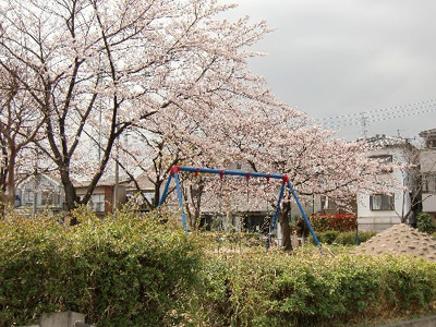 hatogaya15-1.jpg