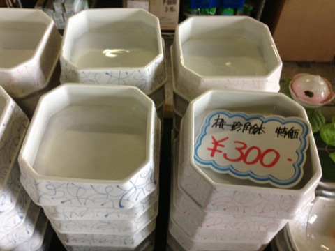 0001270610-2.jpg