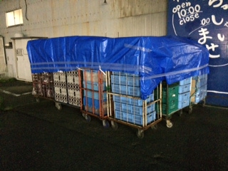 001270526-4.JPG