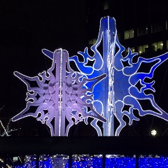 02020151224-01.JPG