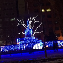 02020151224-02.JPG