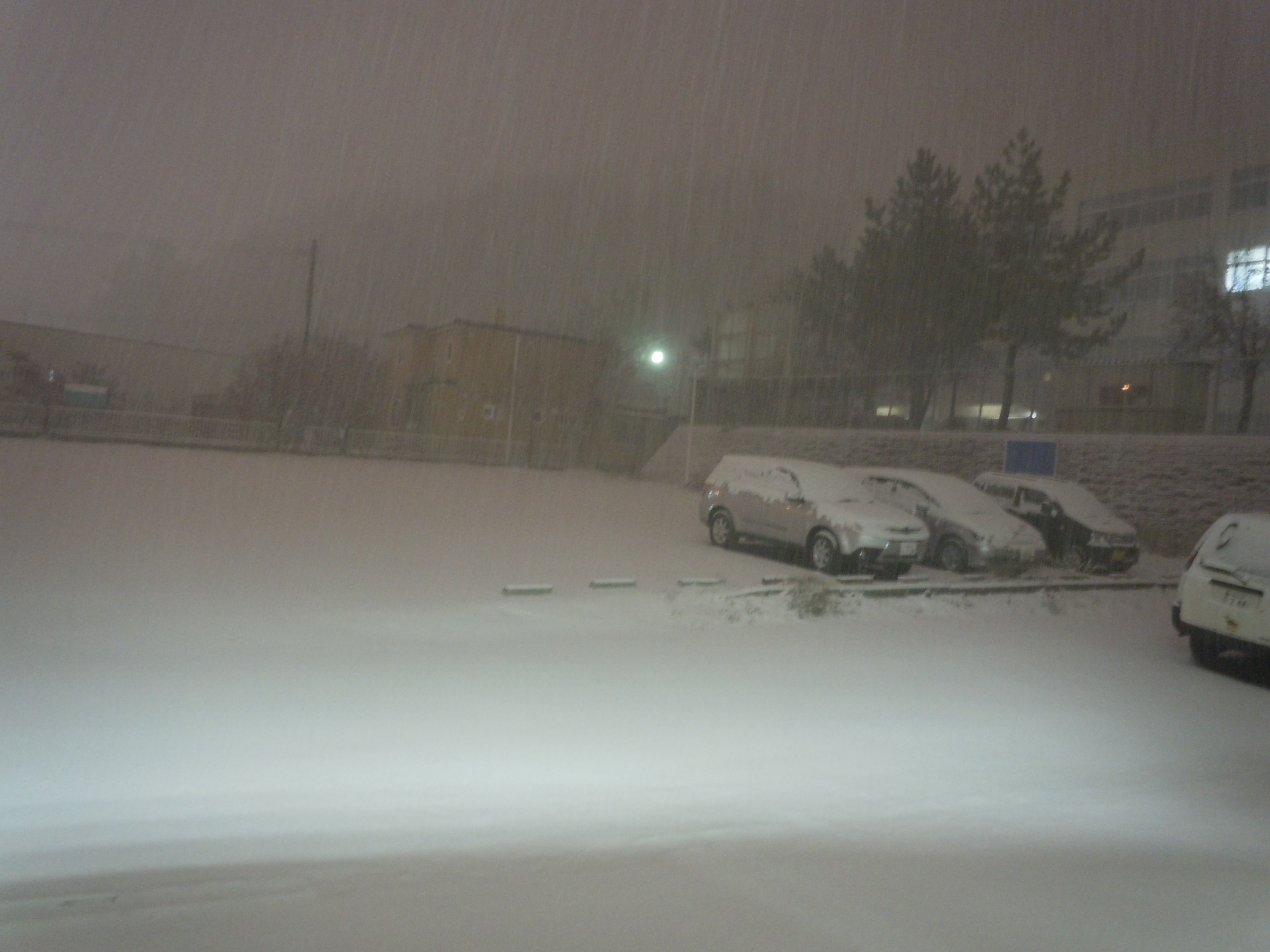 DSCN1857.jpg