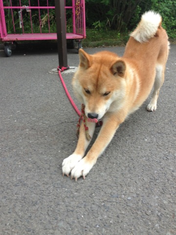 ０２２２６０６０４－２