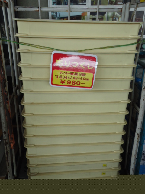 TH0060926.JPG