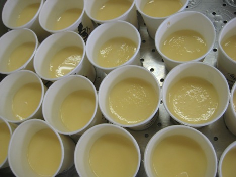 kamikopu-purin.JPG